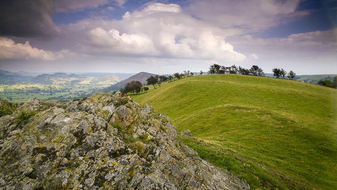 Dyfi Valley Health - Repeat Prescription