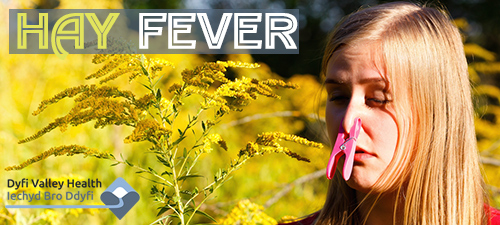 How to Combat Hay Fever