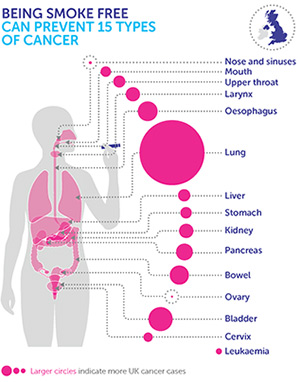 15 Cancer Types